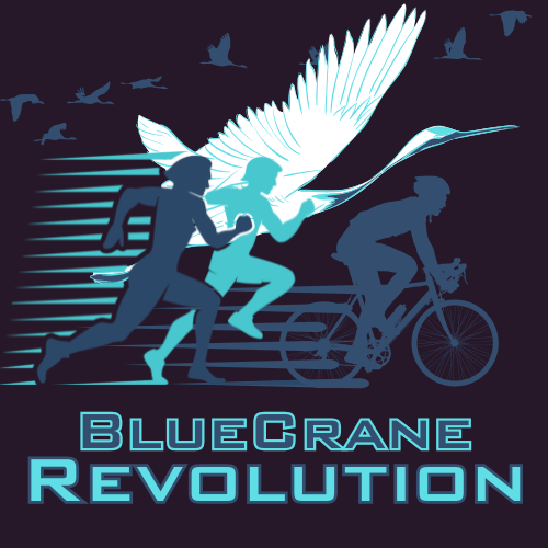 Blue Crane Revolution Logo