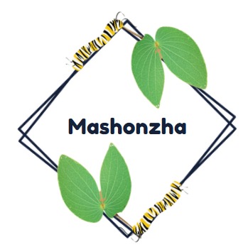 Mashonzha Logo